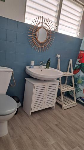 Un baño con lavabo, inodoro y espejo. en Evasion Nord Caraïbe vue mer -plage 5 mn à pieds, en Le Carbet