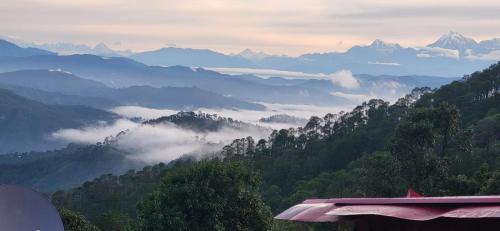 Příroda nedaleko penzionu