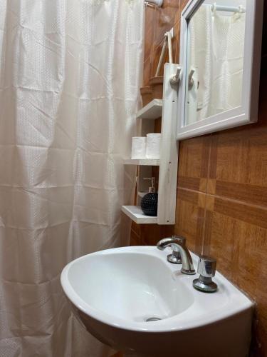 a bathroom sink with a mirror and a shower curtain at Sol de Mayo in Tinogasta