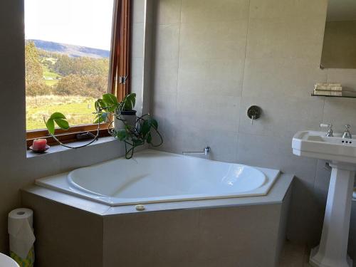 Koupelna v ubytování Forest Walks Studio