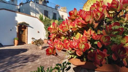 オンニーナにあるFerienhaus Für 12 Personen In Syrakusの鉢花束