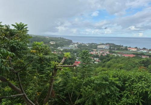 a view of a town from behind some trees at Belle View Haven in Canefield