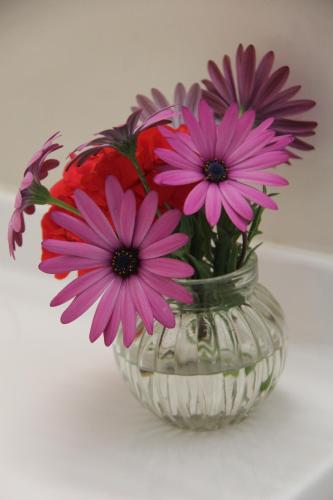 Fotografie z fotogalerie ubytování Saints Apartment - Free unlimited WIFI v Burnt Pine