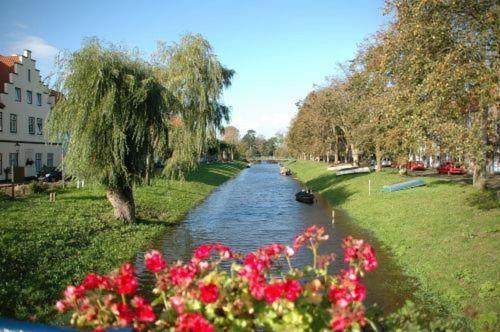 Výhled na řeku, která protéká v blízkosti apartmánu