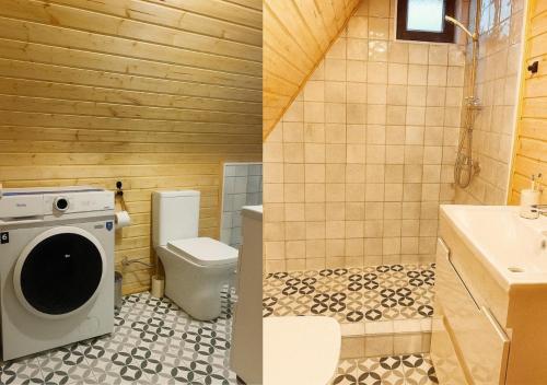 卡兹贝吉Misty Valley的浴室配有卫生间、盥洗盆和洗衣机。