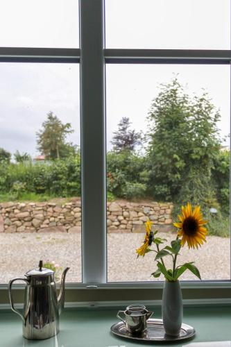 a vase with a sunflower sitting on a window sill at Naturperlen in Rødekro