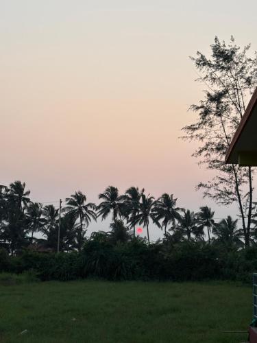 a group of palm trees in a field at Barefoot and Beyond - Crafted with Kenchas in Gokarna