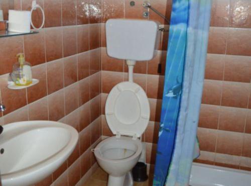 a bathroom with a toilet and a sink and a shower at Apartments Miki Rogoznica in Podglavica