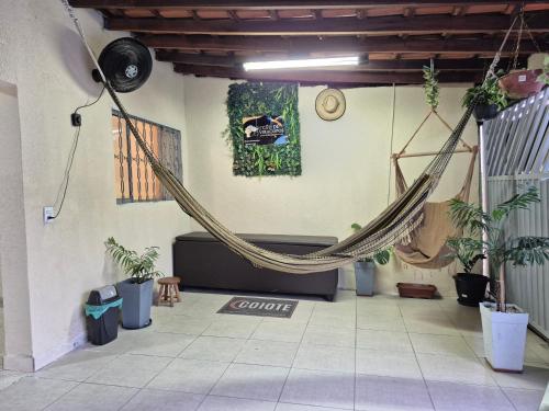 une chambre avec un hamac dans une pièce ornée de plantes dans l'établissement Pousada Céu de Viracopos, à Campinas