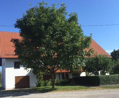 un árbol frente a una casa blanca en Ferienwohnung Mit Garten Im Schönen Tannheim, en Tannheim