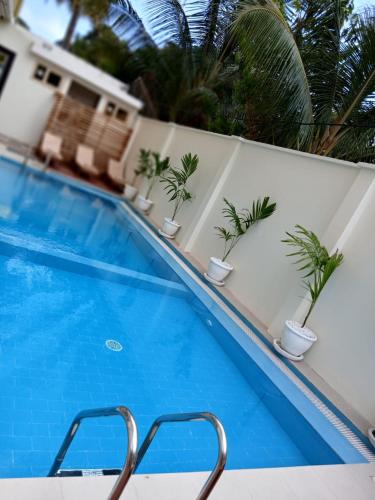 a blue swimming pool with plants on a building at Premier Hotel Zanzibar Airport in Zanzibar City