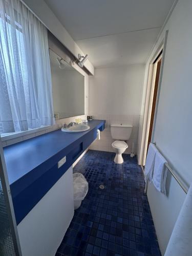 a bathroom with a sink and a toilet at LaTrobe Motel Morwell in Morwell