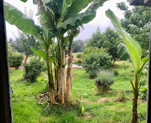 Φωτογραφία από το άλμπουμ του Chalet en bois Eco responsable σε Saint-Priest-les-Fougères