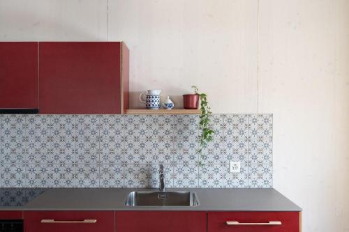 a kitchen with a sink and a counter top at Bellezza Bio Bergün in Bergün