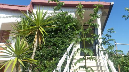 Delianick Holiday Home – Photos 3