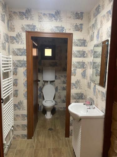 a bathroom with a toilet and a sink at Guest House Robin Hud in Cherni Osŭm