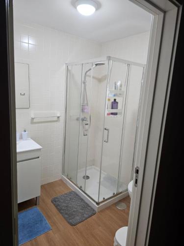 a bathroom with a shower with a toilet and a sink at Casa da Lara in Aveiro