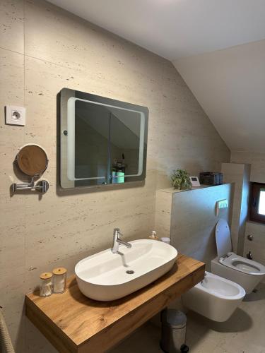 Ένα μπάνιο στο Villa Bagrem - Villa with private pool in nature