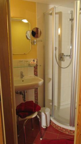 a bathroom with a sink and a shower at Wäldebauernhof in Gutach