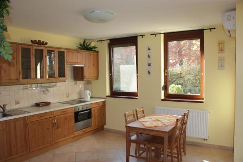 Kuchyň nebo kuchyňský kout v ubytování Lakeview Apartment