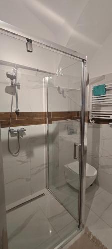 a glass shower in a bathroom with a toilet at Pod Bocianem Noclegi in Nysa