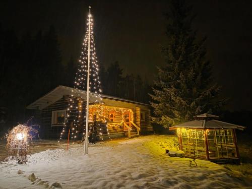 Το Cabin bear's hide τον χειμώνα