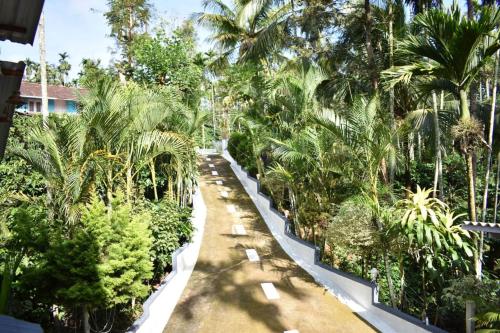 a pathway through a garden with palm trees at South point in Ammatti