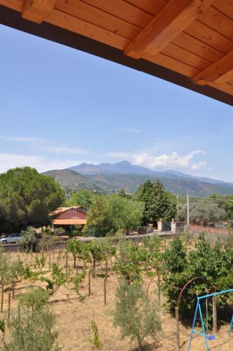 a view of a vineyard with mountains in the background at Villa Carolea in Acireale