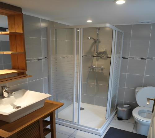 a bathroom with a shower and a sink at Gite Le Cros De Céor in Cassagnes-Bégonhès