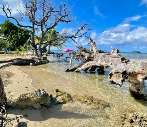 Photo de la galerie de l'établissement Le HAVAII Beach Lodge, à Taputapuapea