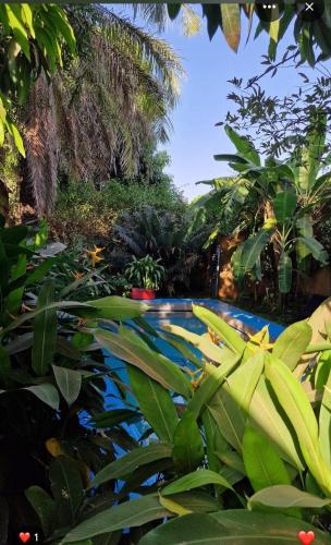 Sundlaugin á Villa Bobo eða í nágrenninu