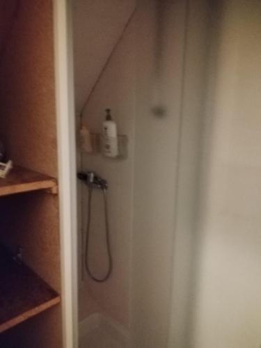 a bathroom with a shower with a hose at Féerie de la Vigne in Ammerschwihr