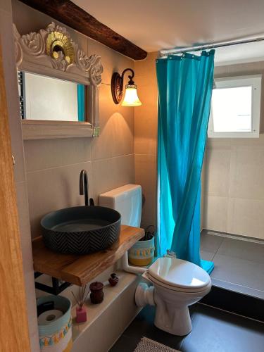 ein Badezimmer mit Toilette und blauem Duschvorhang in der Unterkunft Chez Elly in Celle