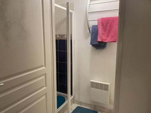 ein kleines Bad mit einer Tür und einer Dusche in der Unterkunft Ty Gweltas - Chambre 300 plage in Saint-Gildas-de-Rhuys