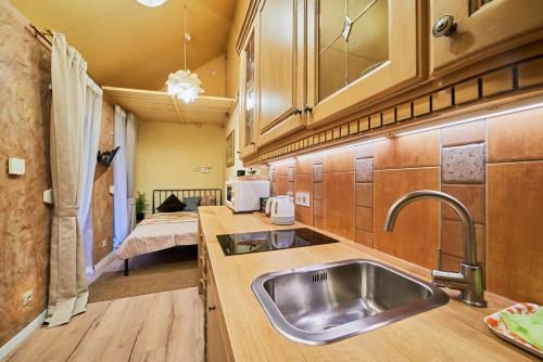 une cuisine avec un évier dans une pièce dans l'établissement Boutique Cottage, à Vilnius