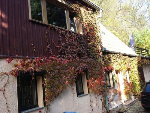 a building covered in ivy on the side of it at Bergnest in Bad Gottleuba