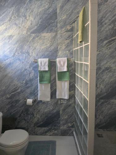 苏弗里耶尔Church Street Guest House的一间带卫生间的浴室和墙上的毛巾