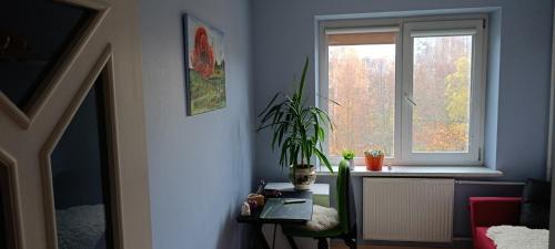 een kamer met een tafel en een raam bij Ruola in Kaunas