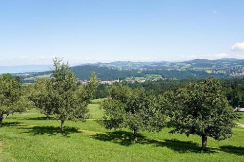 a group of trees in a field of grass at Hof Höchi in Bruggen
