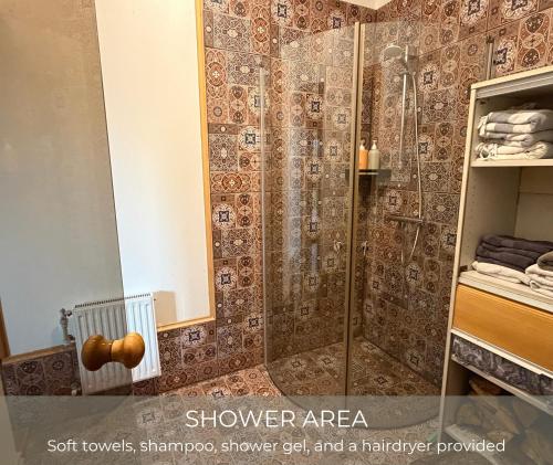 a bathroom with a shower area with a glass shower enclosure at Dzintari IR in Myza Kayve