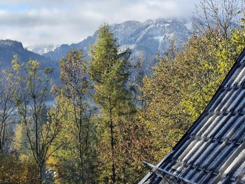 Příroda nedaleko apartmánu