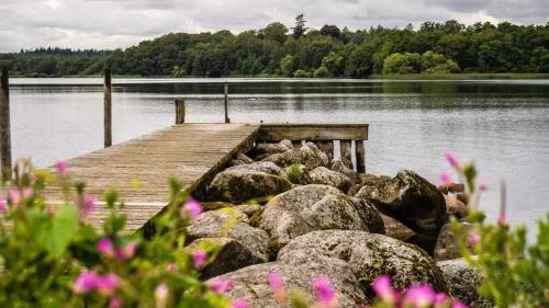a dock on a lake with rocks and pink flowers at Nordic Family Home - Forest & Lake - 29 Min To CPH in Fredensborg