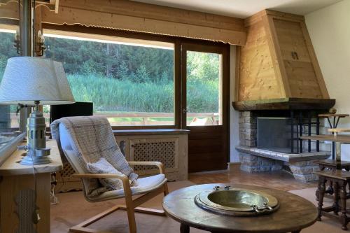 Séjour Montagnard avec Vue et Confort Optimal