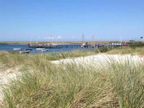 a dock with boats in the water next to a beach at Ferienwohnung Marinablick in Wendtorf