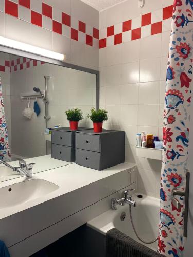 a bathroom with a sink and a mirror at Le Portail 76 in Valmorel