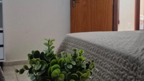 a green plant sitting next to a bed at Rancho com acesso direto ao rio, área verde e lazer completo in Santa Fé do Sul