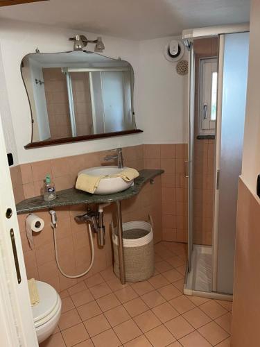 a bathroom with a sink and a mirror and a toilet at Chez Sylvie Vda-Issogne-001 in Issogne