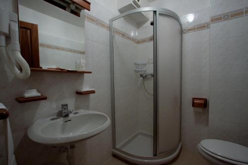 a bathroom with a shower and a sink at Hotel Panoramique in Torgnon