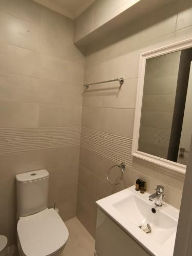 a bathroom with a toilet and a sink and a mirror at Apartment Odysea in Platanias