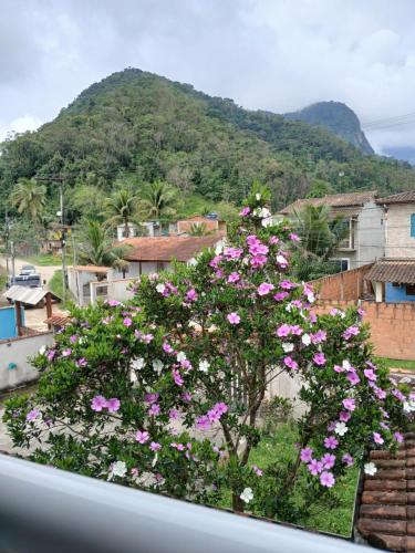 Γενική θέα στο βουνό ή θέα στο βουνό από  αυτό το διαμέρισμα